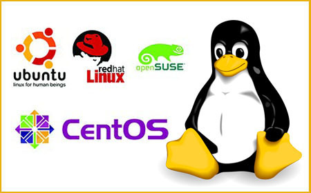 Linux Support 