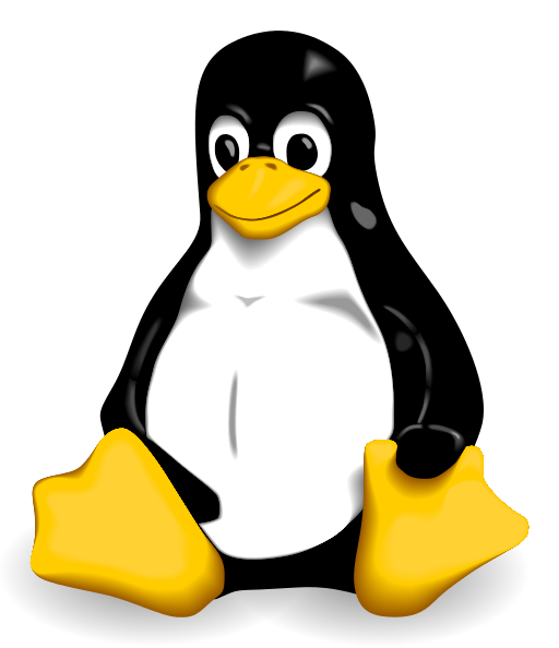 Linux Solutions in India