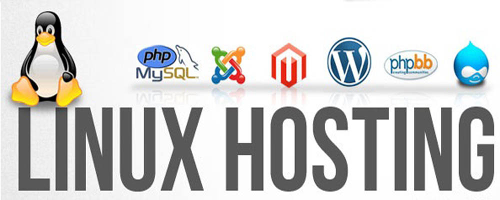 Linux Web Hosting Company in Delhi - India